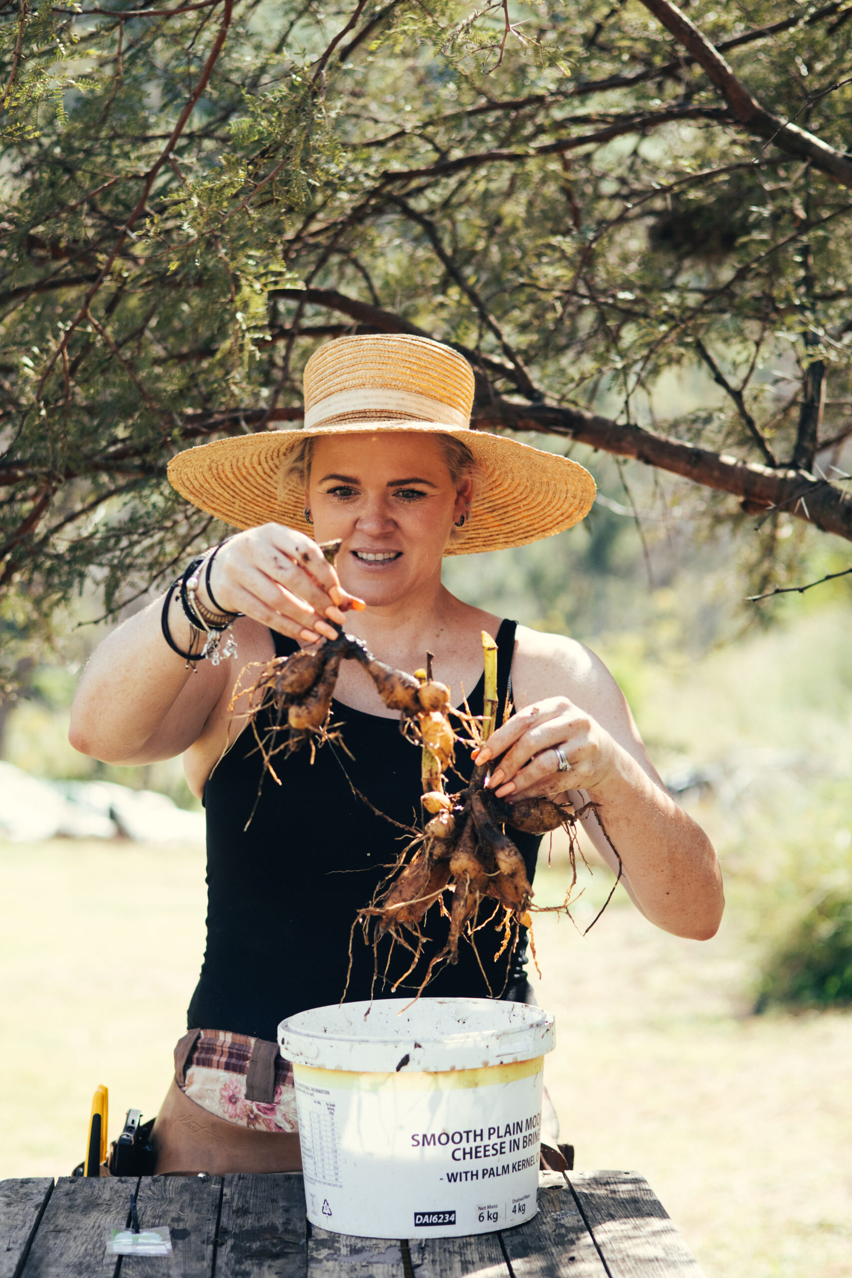 Tucking In the Dahlias: A Guide to Post-Season Care, Storage & Seed Saving
