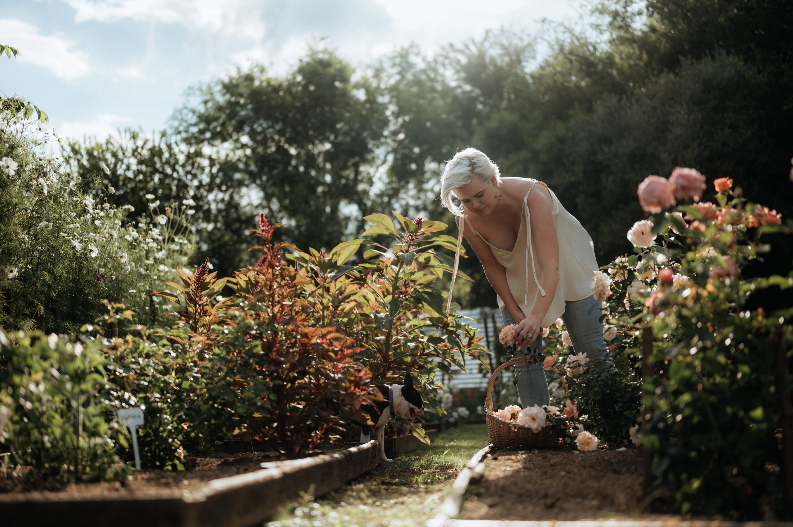 2021 - Our First Year of Growing in Pictures